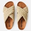 Attirestitch.shop231488ae05 3